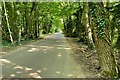 Green Lane going to the airfield in Gagingwell