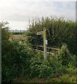 The footpath to Chapel St. Leonard's leaving Workhouse Lane, Hogsthorpe in PE24 5QH