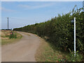 The track to Ember Lane leaving Workhouse Lane, Hogsthorpe in PE24 5QH