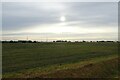 Farmland to the east of Strong's Gate in PE12 8SR