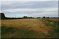 Field beside Raven's Gate in PE12 8SR