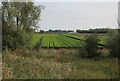 Irrigation on The Dunstalls in Ely East Ward