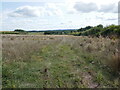 Track in an abandoned field in NG11 0AW