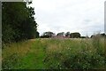 Footpath on a field north of Gallow Drive in PE38 9QD