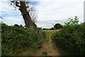 Path heading towards Wimbotsham Road in PE38 9QD