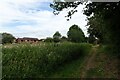 Path west of Wimbotsham Road in PE38 9QD