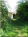 Footpath past Barchams Farm in NR28 9SR