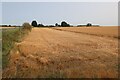 Harvest underway by Isleham Road in CB7 5LU
