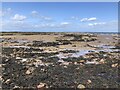 Intertidal, Port Seton in EH32 0DF