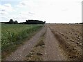 Farm track to New Waltham in DN36 4RH