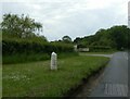 Stone milestone on B1145 in NR20 5HN