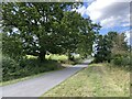 Country Lane from Ham Green to Elcock's Brook in B97 5GN