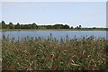 Farm reservoir on The Dunstalls in Ely East Ward
