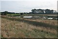 Wetland on The Dunstalls in Ely East Ward