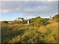 Tuach Hill Trig Pillar in Kintore