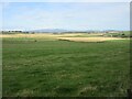 Grass field near Tertowie in AB21 0TR