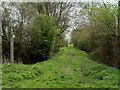 Public bridleway to Pleshey from Park Road in CM3 1JA