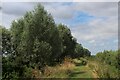 Embankment in the Kingfishers Bridge Nature Reserve in CB7 6BG