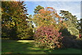 Autumn colours, Westonbirt Arboretum in GL8 8UR