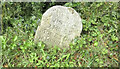 Old Milestone by the B3357, Lower Longford, Whitchurch parish in PL19 9JX