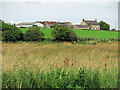 Farmland below Highside in NE46 2NN