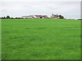 Field below Highside in NE46 2NN