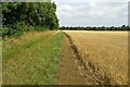 Footpath to Worton Road in Westcot Barton