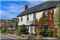 Staple Fitzpaine : The Greyhound Inn in TA3 5SP