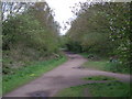 South Staffs Railway Walk at The Bratch in WV5 9EH