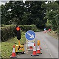 Temporary lights, B6343 in NE61 2BL