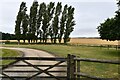 Sellindge: Entrance to Southenay Farm in TN25 6ZU