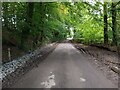 Minor road through woodland in FK1 2HX