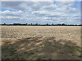 Stubble field near West Dereham in PE33 9UP