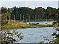 Boats at Forfar Loach in DD8 3LU