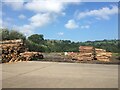 Log piles near Derwen Fawr farm in SA19 8TA