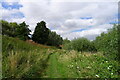 The 'lower path' around Kingfishers Bridge Nature Reserve in CB7 6BG