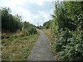 Trans Pennine Trail, south of West Green in S71 5LL
