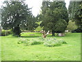 Treestump and tomb within Rogate Churchyard in GU31 5HG