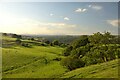 Hillside near Chisworth, Derbyshire in Chisworth