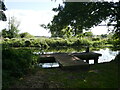 Landing stage on the Little Ouse River, Brandon in IP27 0JF