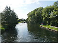 The Little Ouse River below Brandon Stanch in IP27 0JF
