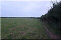 Path beside the hedgerow in TR19 6TW