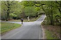 Minor road junction in Shave Wood, New Forest in SO40 2LP