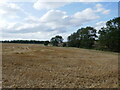 Stubble field near Dembleby in NG34 8SX