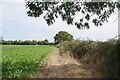 Approaching Great Bentley Rd on Frating Footpath 10 in CO7 7HP