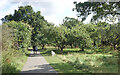 Dog in the Orchard, Highfield Park in AL4 0GD