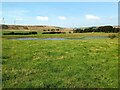 Large Pond at Tower Farm in South Lanarkshire
