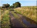 Track to long gone Barnhill in ML11 9TX