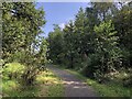 Path, Bonnyfield Nature Park in FK4 1GG