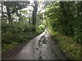 Minor road near Llanfechain in SY22 6UE